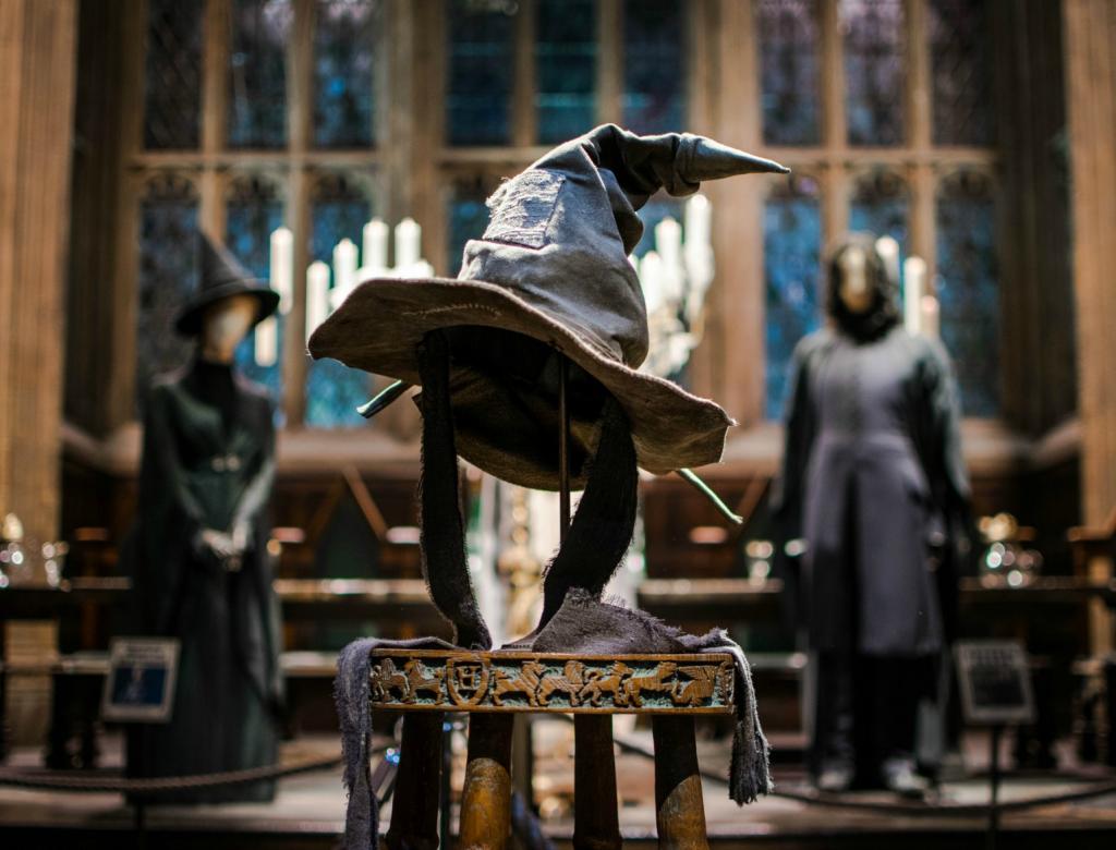 The sorting hat that was used in the Harry Potter movies.