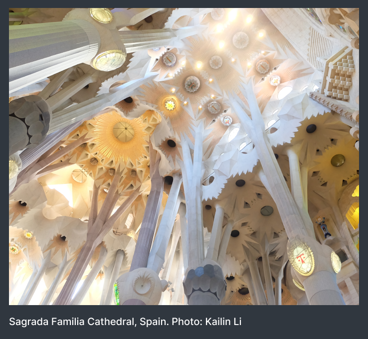 View of the ceiling in the Sagrada Familia Cathedral