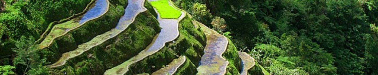 Terraced land in the Philippines