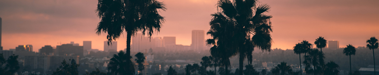 Los Angeles seen through palm trees