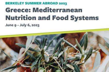 Summer Abroad: Greece: Mediterranean Nutrition and Food Systems