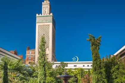 Picture of a mosque in Paris