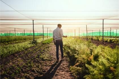 Student walking through a field of plants under a canopy