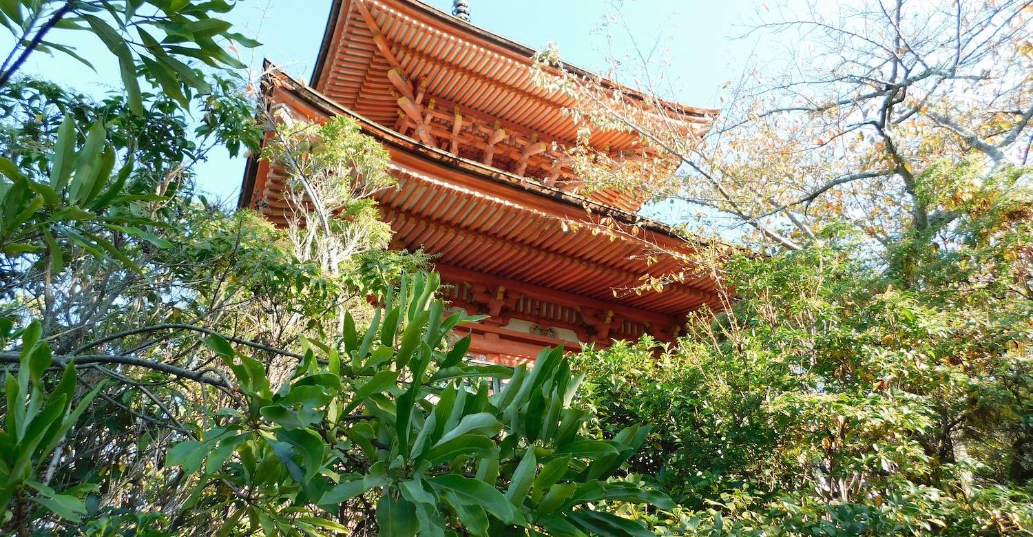 Green trees surrounding a building with Asian-style architecture