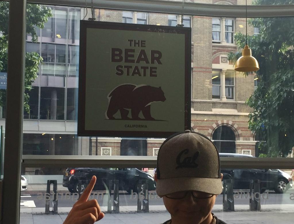 Bears in London UCB Study Abroad