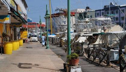 A person walking along a dock of boats in a port town.