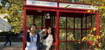 6 Reasons Study Abroad is a Priceless Investment