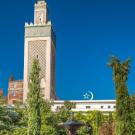 Picture of a mosque in Paris